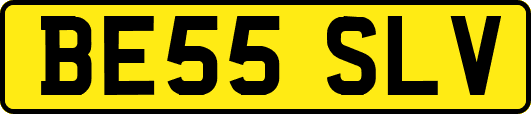 BE55SLV