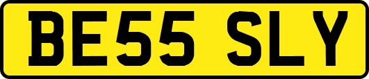 BE55SLY