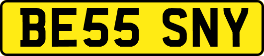 BE55SNY