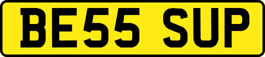 BE55SUP
