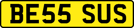 BE55SUS