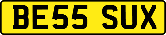 BE55SUX