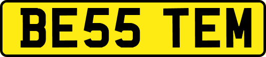 BE55TEM