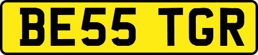 BE55TGR