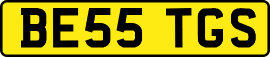 BE55TGS