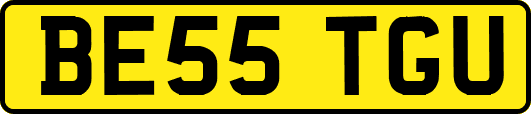 BE55TGU