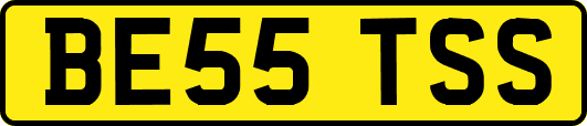 BE55TSS