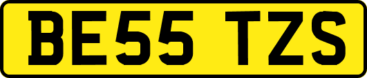 BE55TZS