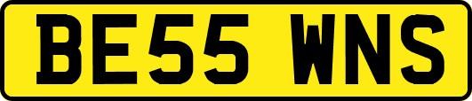 BE55WNS