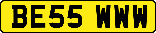 BE55WWW
