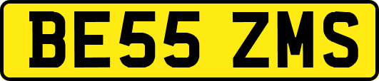 BE55ZMS