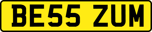 BE55ZUM