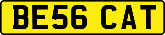 BE56CAT