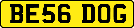 BE56DOG