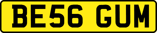 BE56GUM