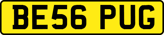 BE56PUG