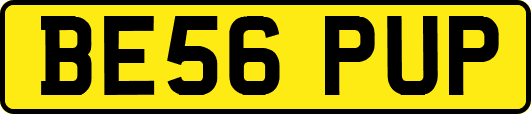 BE56PUP