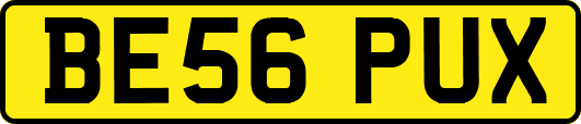 BE56PUX