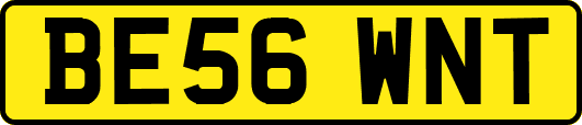 BE56WNT