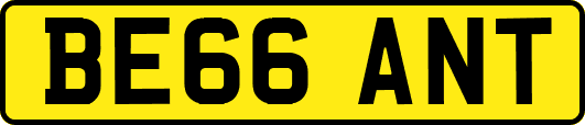 BE66ANT