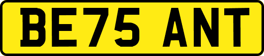 BE75ANT