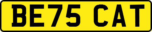 BE75CAT
