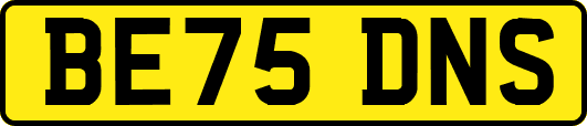 BE75DNS