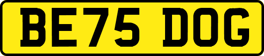 BE75DOG
