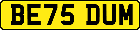 BE75DUM