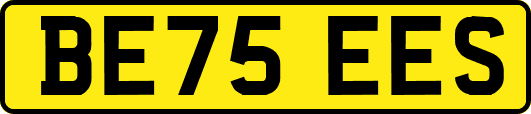 BE75EES