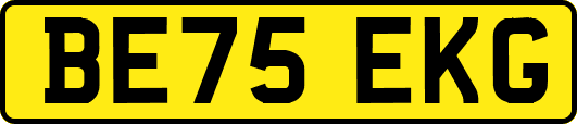 BE75EKG