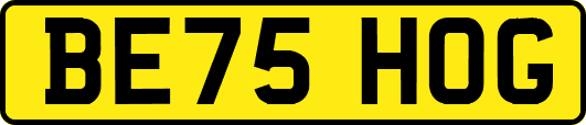 BE75HOG