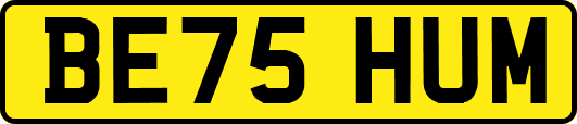 BE75HUM