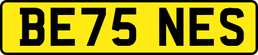 BE75NES