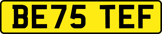 BE75TEF