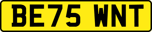 BE75WNT