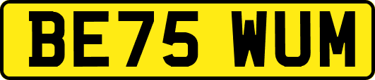 BE75WUM