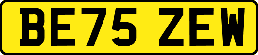 BE75ZEW
