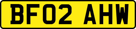 BF02AHW