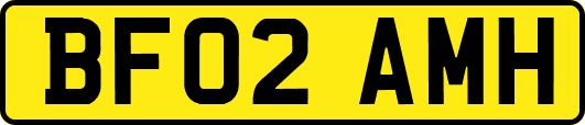 BF02AMH
