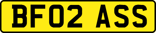 BF02ASS