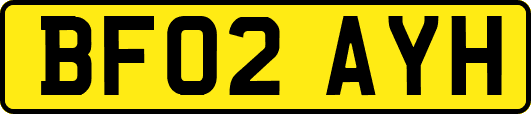 BF02AYH