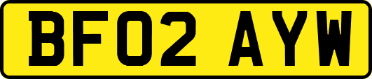 BF02AYW