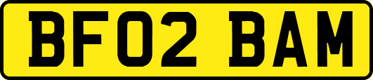 BF02BAM