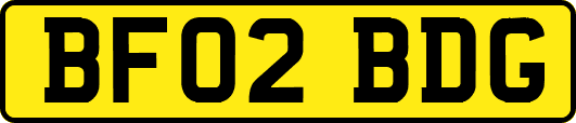 BF02BDG
