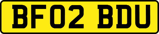 BF02BDU
