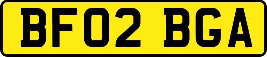 BF02BGA