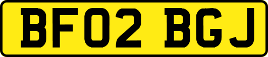 BF02BGJ