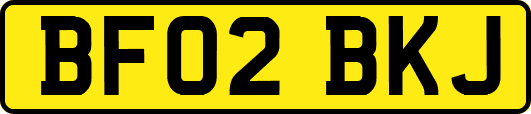 BF02BKJ