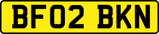 BF02BKN